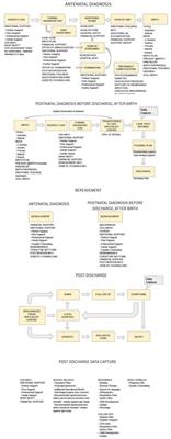 The CDH patient perspective journey